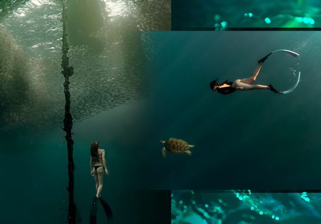 keeta-ph_website-banner-free-diving