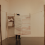 anthill-banner-1