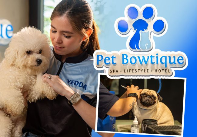 keeta-website_banner-pet_bowtique