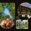 keeta-website_banner-tourist_traps